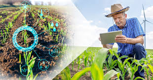 How Tech Is Fighting Global Hunger