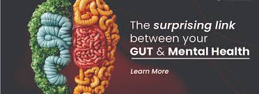 The Surprising Link Between Gut Health and Anxiety
