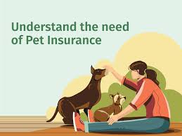 Why Pet Owners Are Turning to Pet Insurance