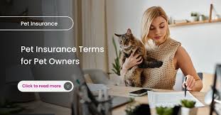 Why Pet Owners Are Turning to Pet Insurance