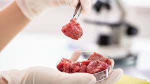 Why Scientists Are Growing Meat Without Animals