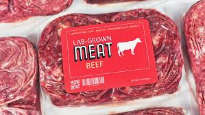 Why Scientists Are Growing Meat Without Animals