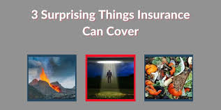 The Surprising Items Covered by Insurance