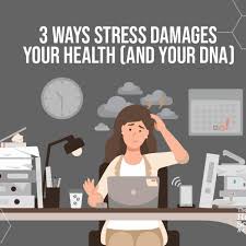 How Chronic Stress Damages Your DNA