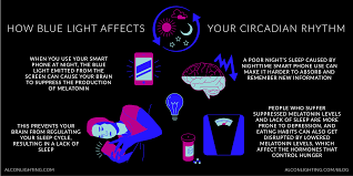 How Blue Light Affects Your Hormones